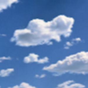 Meet your Posher, Diana